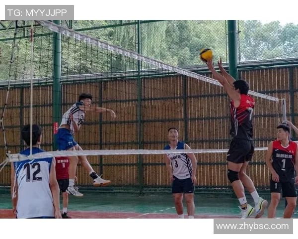 聚焦排球技术探讨成都排球队的训练与战术创新之路